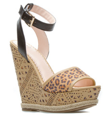 shoedazzle 1800 number